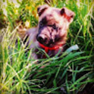 Meet your Posher, Nicolas